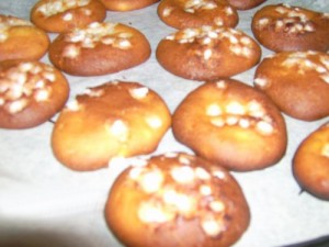 Madeleines tout chocolat
